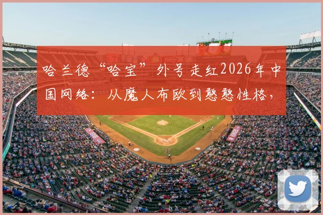 哈兰德“哈宝”外号走红2026年中国网络：从魔人布欧到憨憨性格，全面解析他为何成中国球迷的“梗文化”宠儿
