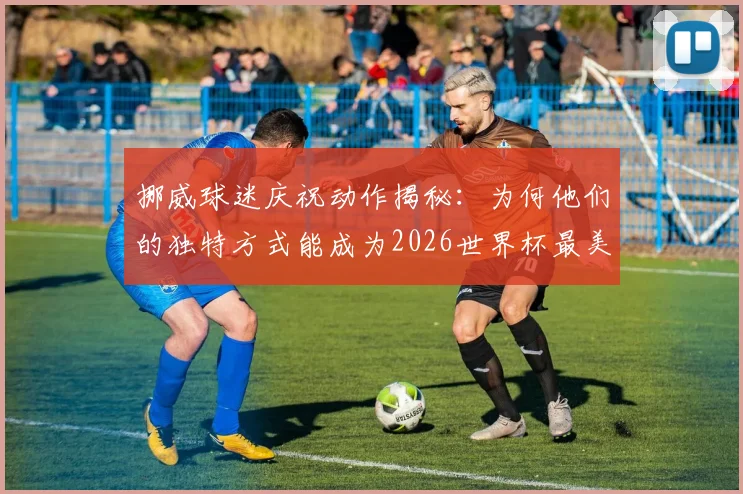 挪威球迷庆祝动作揭秘：为何他们的独特方式能成为2026世界杯最美看台风景？