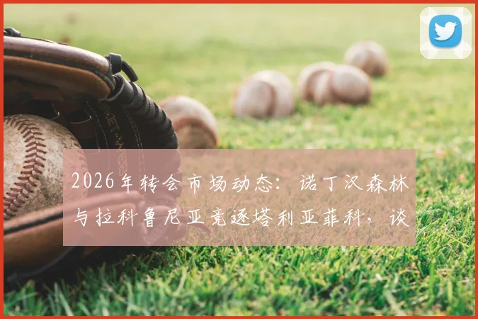 2026年转会市场动态：诺丁汉森林与拉科鲁尼亚竞逐塔利亚菲科，谈判已实质性展开