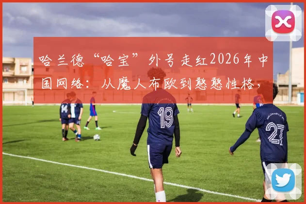 哈兰德“哈宝”外号走红2026年中国网络:从魔人布欧到憨憨性格,全面解析他为何成中国球迷的“梗文化”宠儿